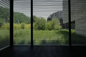 Blinds & Shutters